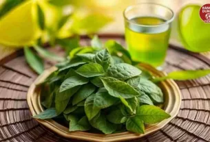 Constipation Remedy