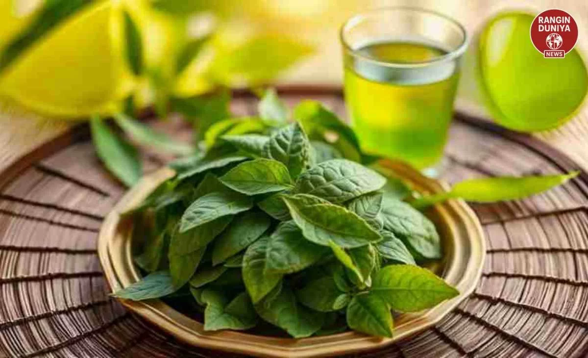 Constipation Remedy