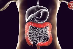 Gut Health