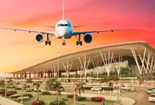 Srinagar to Delhi flight