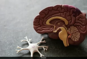 Healthy Brain
