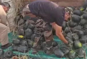 Animal Smuggling