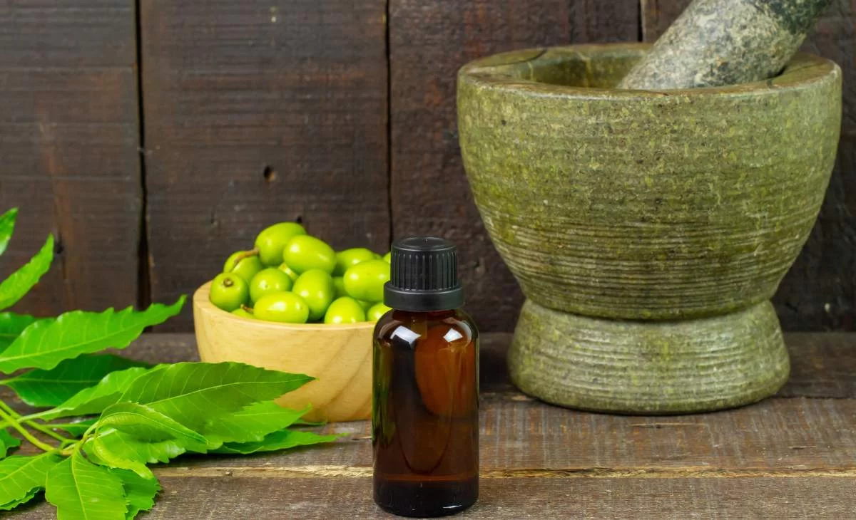Ayurvedic Lifestyle 2025