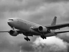 Indigo flight