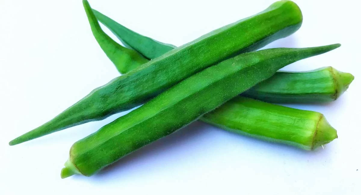 Lady Finger Side Effects