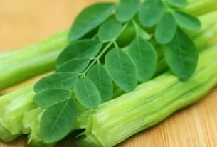 Moringa Leaves Benefits