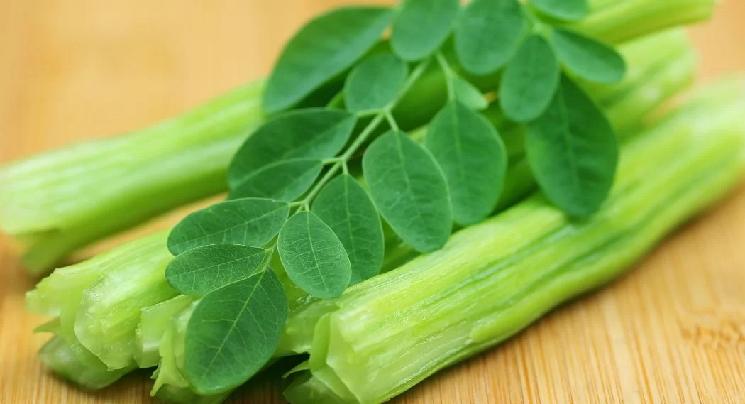 Moringa Leaves Benefits