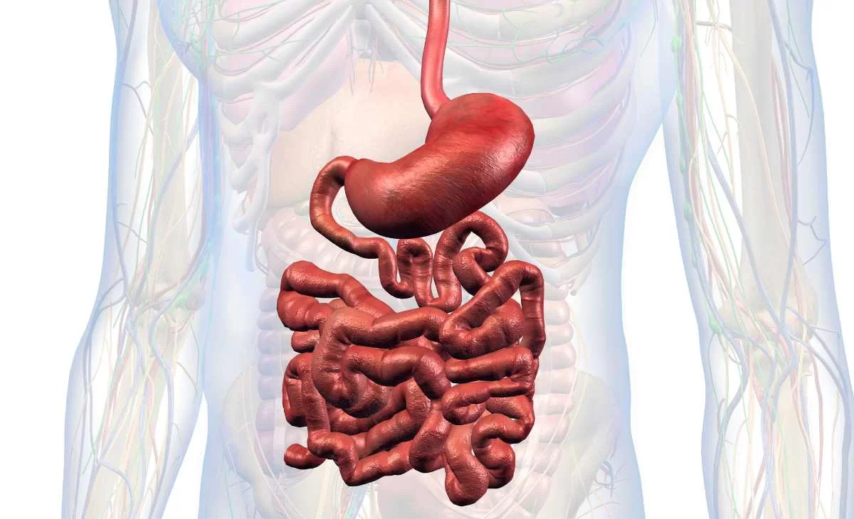 Morning Gut Cleanse