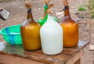 Palm Wine