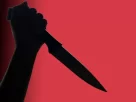 South 24 Parganas Murder Case