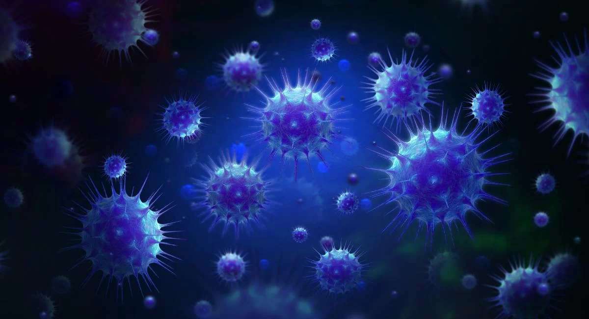 Corona Virus