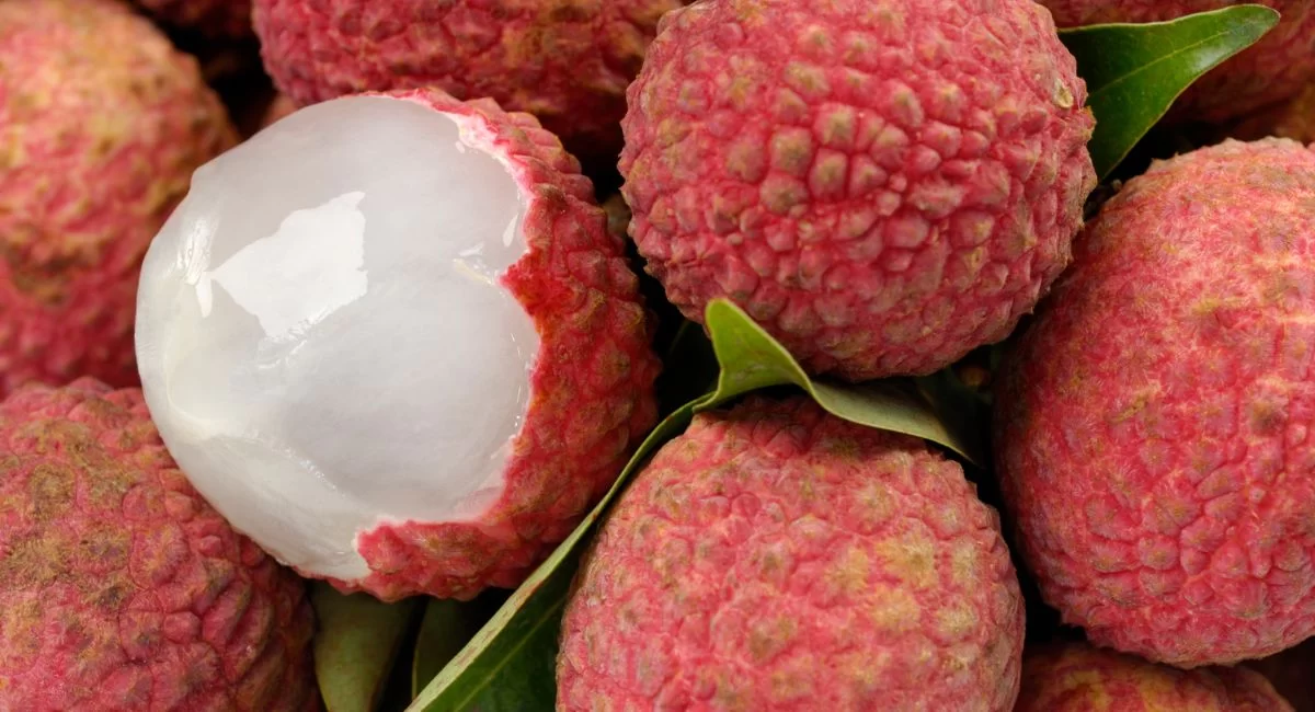 Disadvantage of Eating Litchi