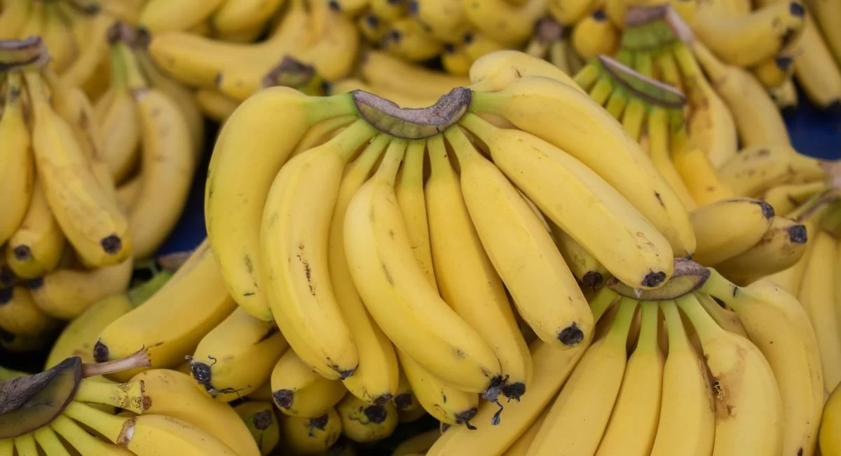 Health benefits of banana