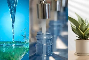 How To Purify Water