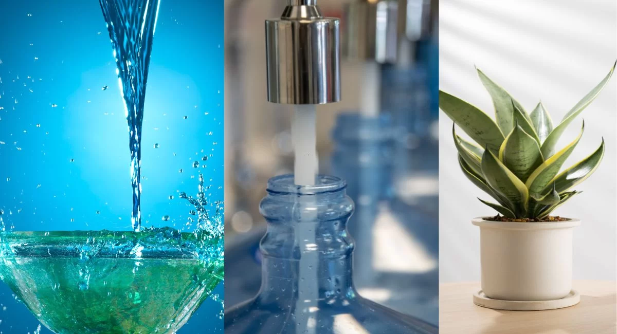 How To Purify Water