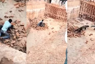 Leopard Attack