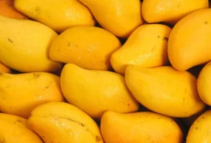 Mango in Monsoon