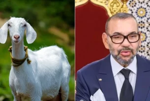 Morocco Goat Ban