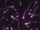 Semen Benefits
