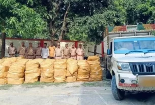 Sex Toy Smuggling
