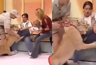 Shocking Viral Video