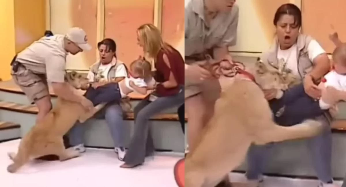 Shocking Viral Video
