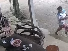 Snake attack video