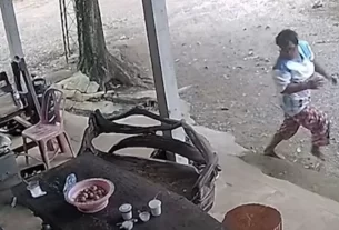 Snake attack video