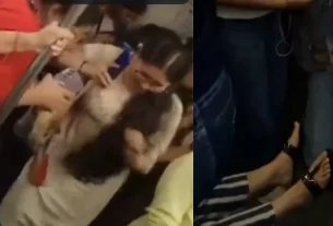 Snake in Metro