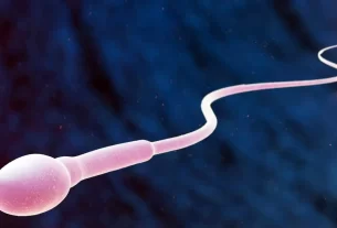 Sperm motion