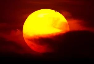 Sun transit Ardra Nakshatra
