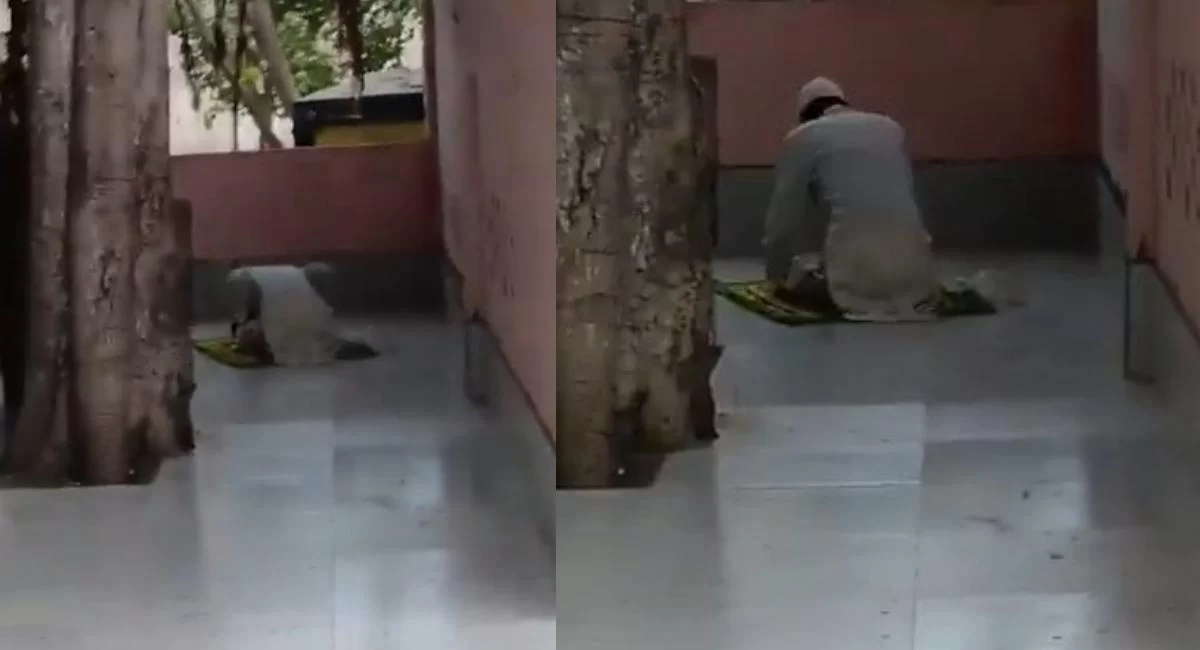 viral video