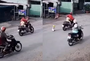 Vietnam shocking video