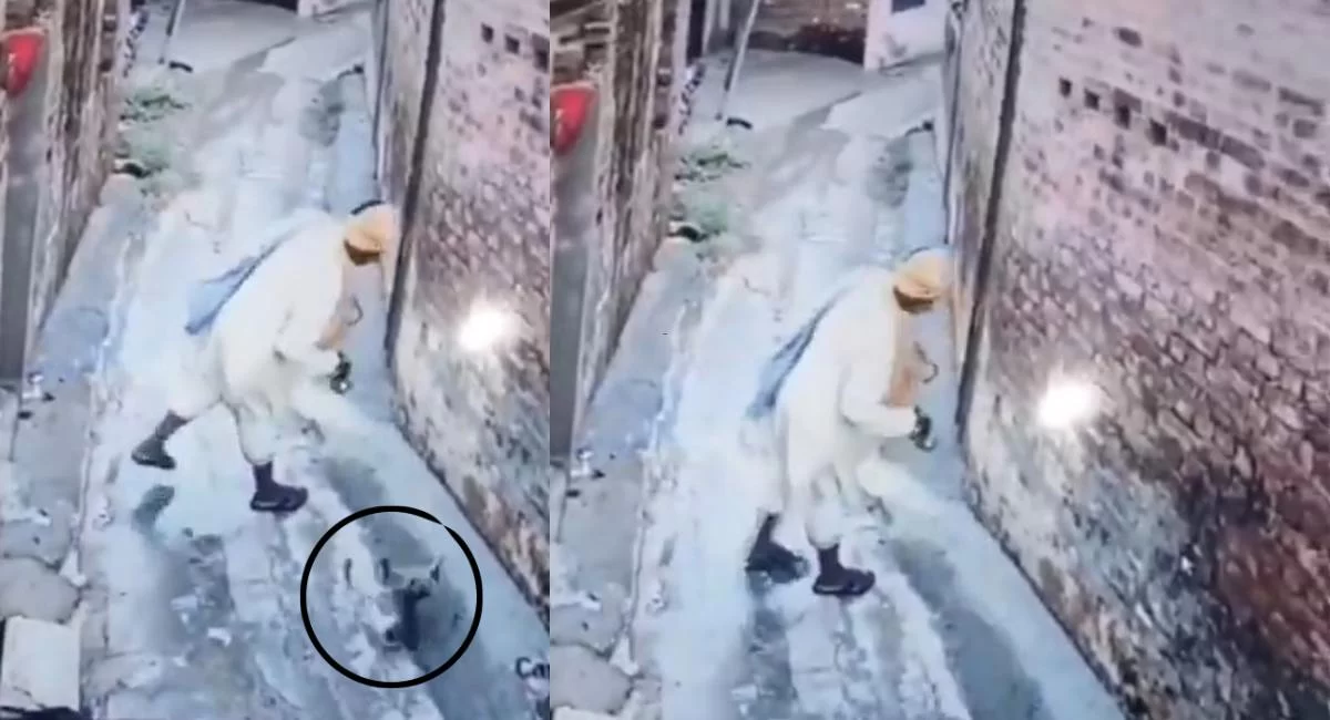 हरियाणा में वायरल वीडियो ने उड़ा दिए होश: बाबा ने बिल्ली के साथ की हैवानियत, इंसानियत हुई शर्मसार