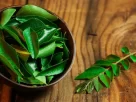 Curry Leaves Benefits