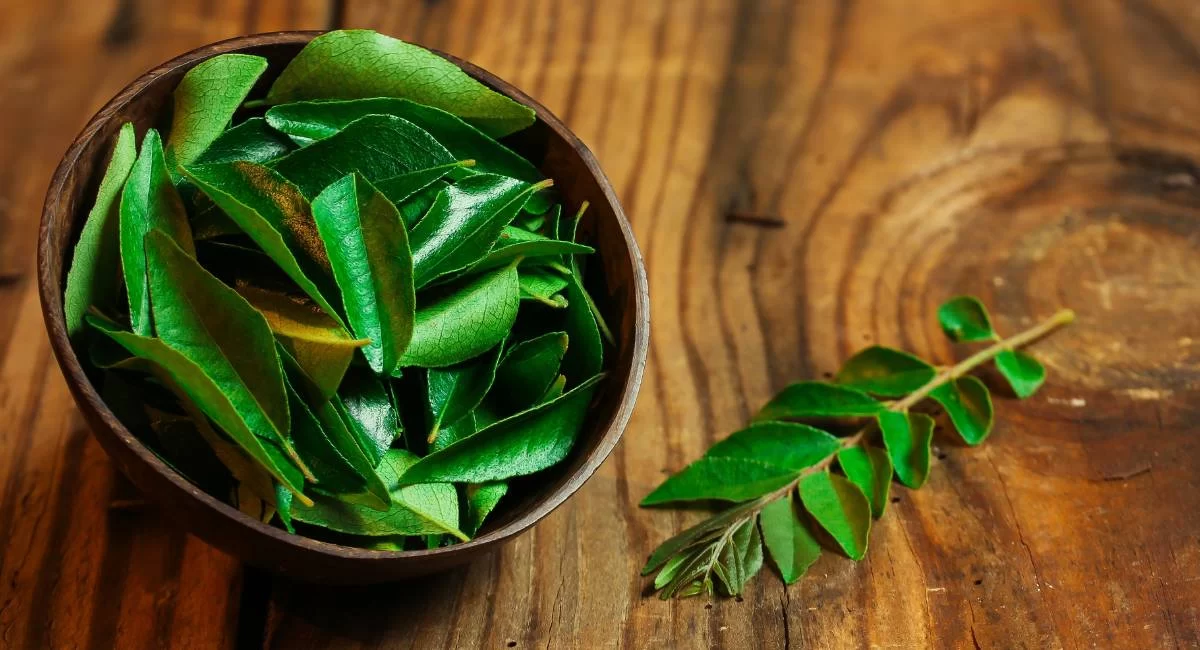 Curry Leaves Benefits