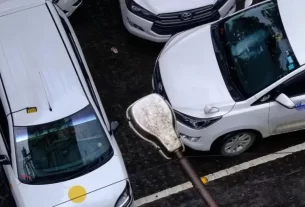 Hot Car Death